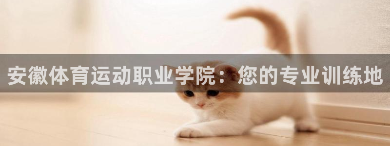 杏耀网页版注册