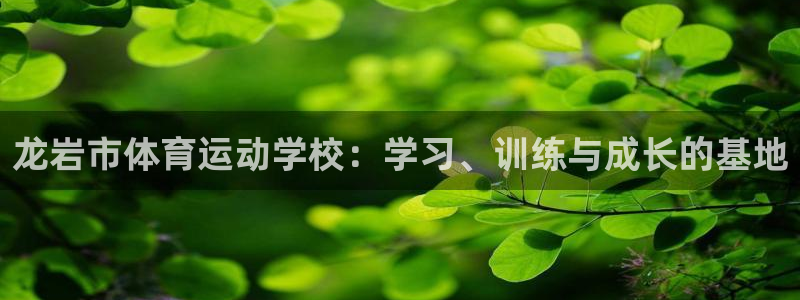 杏耀手机版