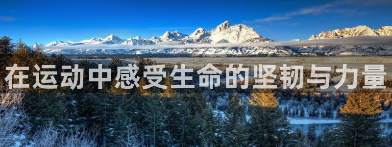 杏耀手机网页版登录