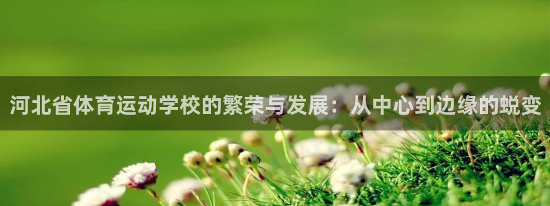 杏耀注册平台