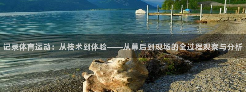 杏耀注册
