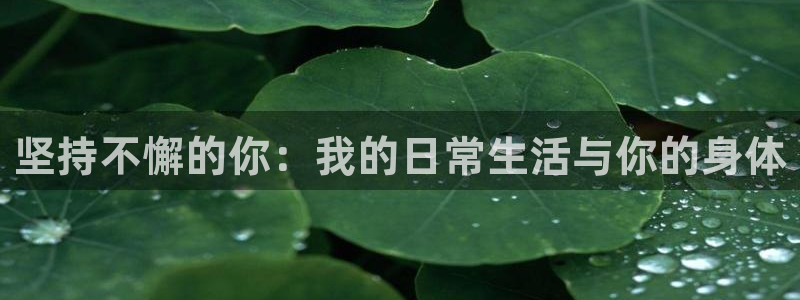 杏耀代理