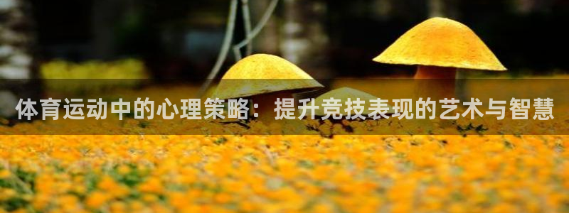 杏耀注册登录代理
