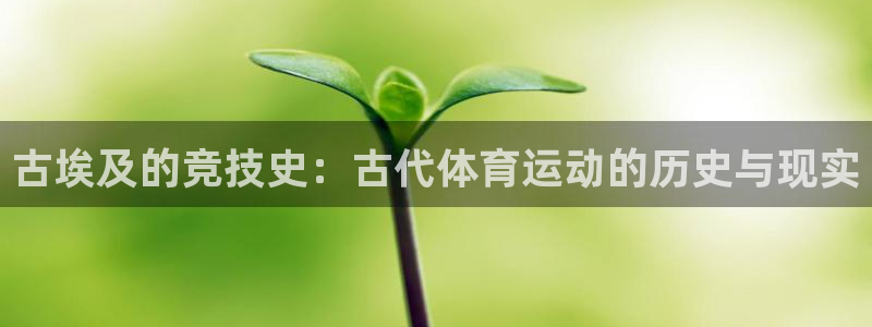 杏耀注册登录官网