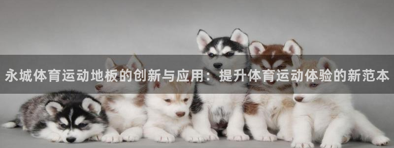 杏耀凯捷开号链接